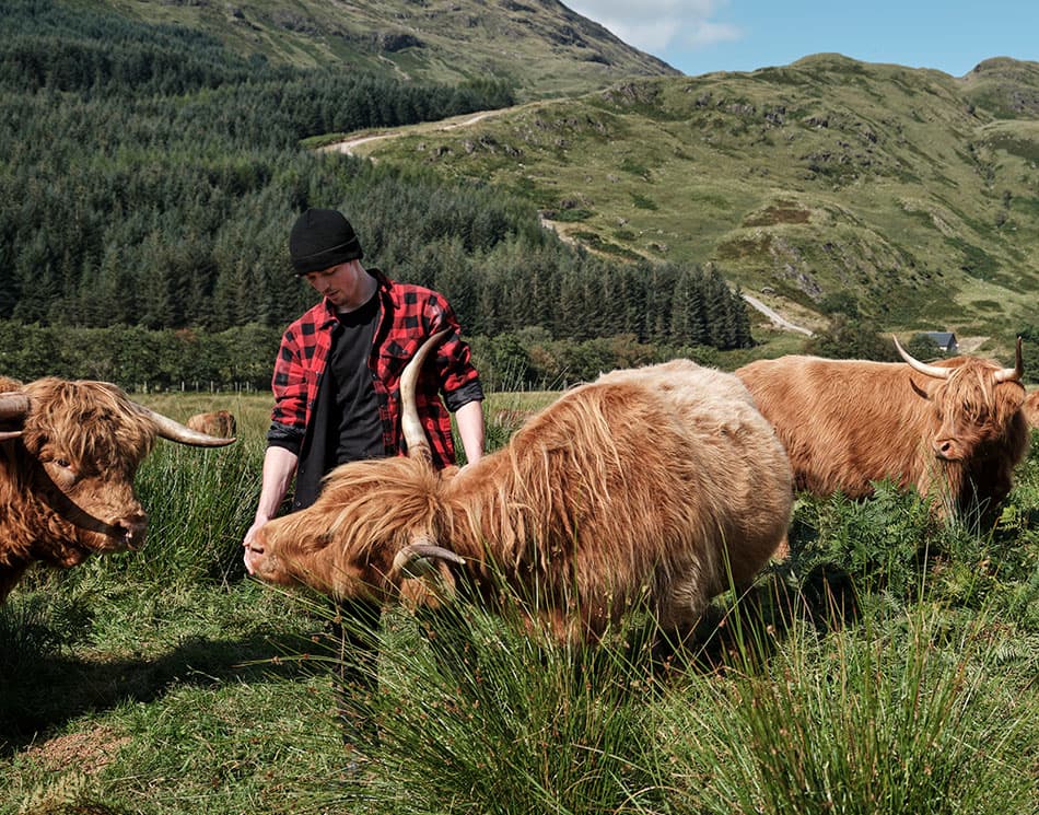farmer_highland_3225_950x745