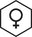 Woman (from Mens model)